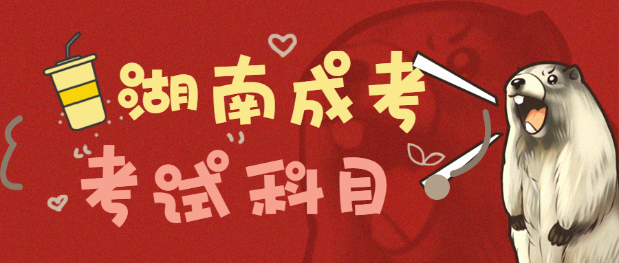 2021年湖南大學(xué)成考考試科目