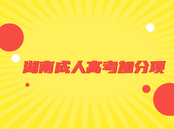 湖南成人高考加分項